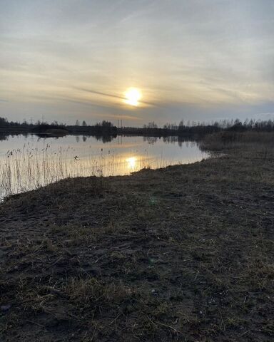 ул Центральная Гвардейск фото