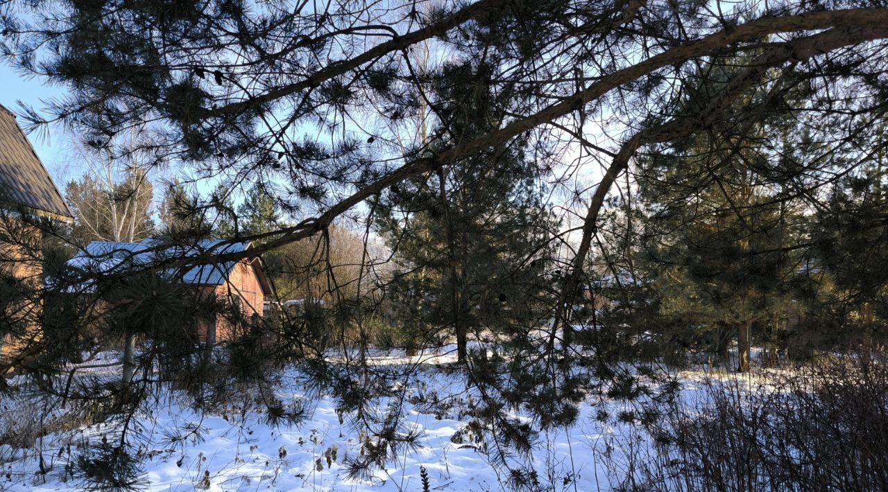 земля городской округ Раменский Новохаритоново, 170, Речицы фото 2