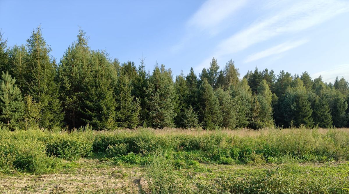 земля городской округ Клин рп Решетниково 164 фото 2