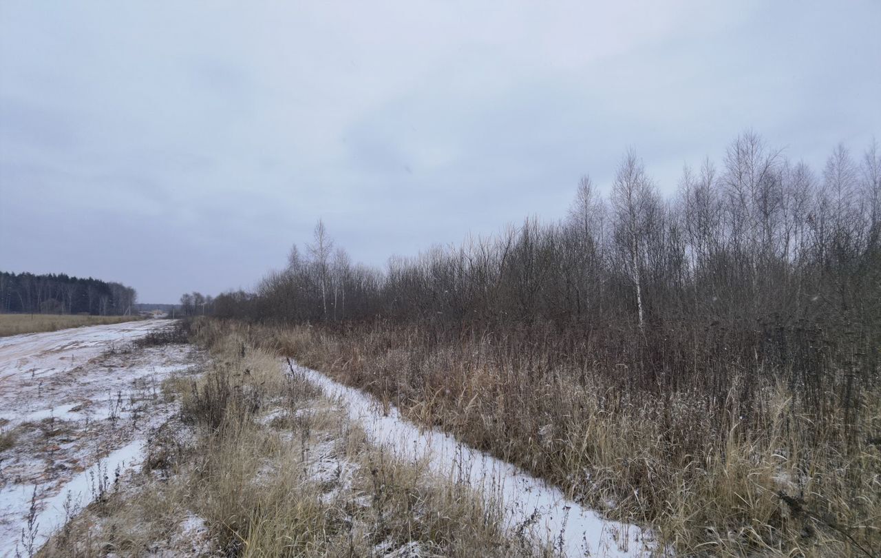 земля городской округ Воскресенск д Грецкая 62 км, Воскресенск, Новорязанское шоссе фото 4