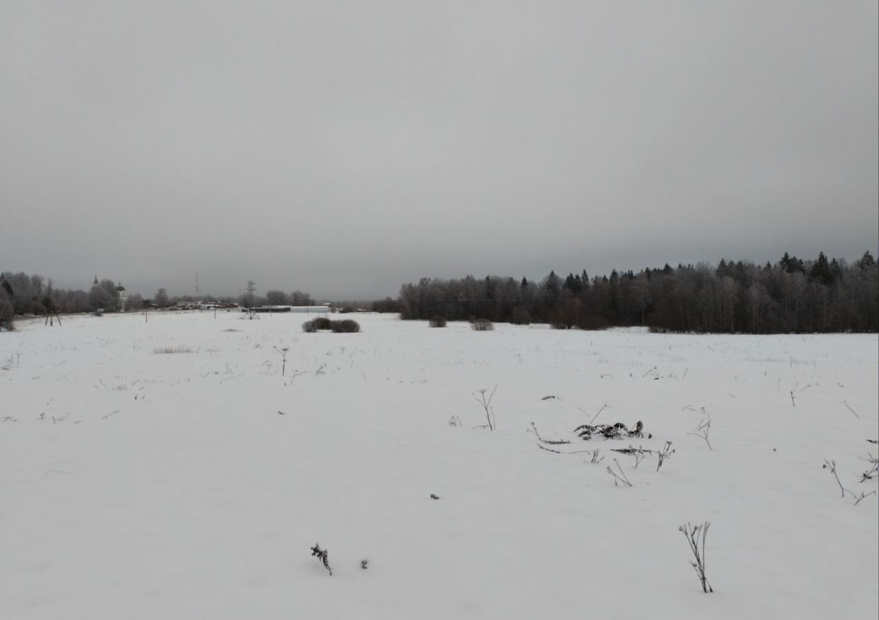 земля городской округ Рузский д Новорождествено 65 км, Новопетровское, Волоколамское шоссе фото 2