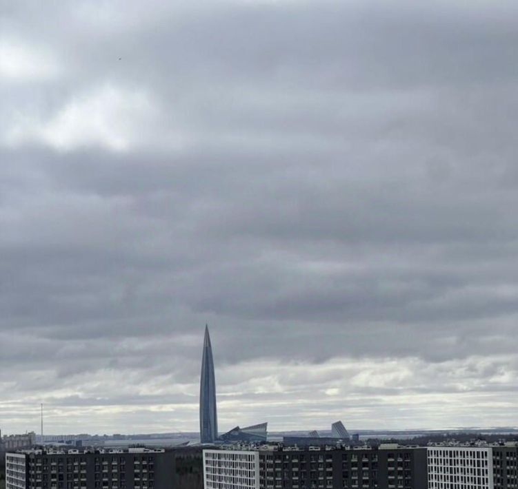 квартира г Санкт-Петербург метро Комендантский Проспект пр-кт Авиаконструкторов 69 округ Коломяги фото 4