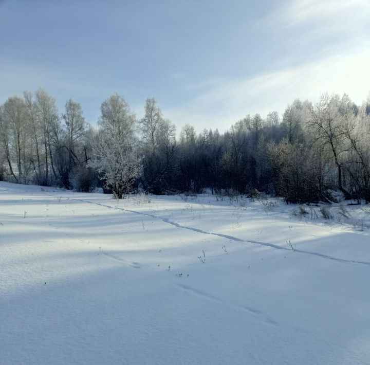 земля р-н Майминский п Алферово ул Д.П. Абраменко 43 фото 17