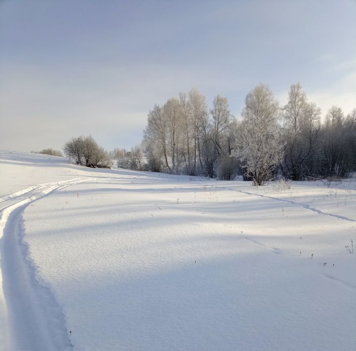 земля р-н Майминский п Алферово ул Д.П. Абраменко 43 фото 18