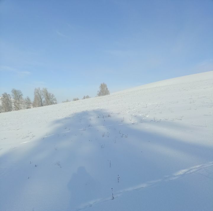 земля р-н Майминский п Алферово ул Д.П. Абраменко 43 фото 20