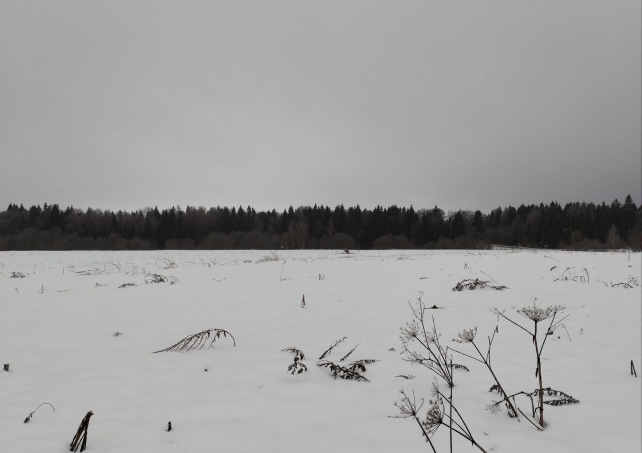 земля городской округ Рузский д Новорождествено 65 км, Новопетровское, Волоколамское шоссе фото 5