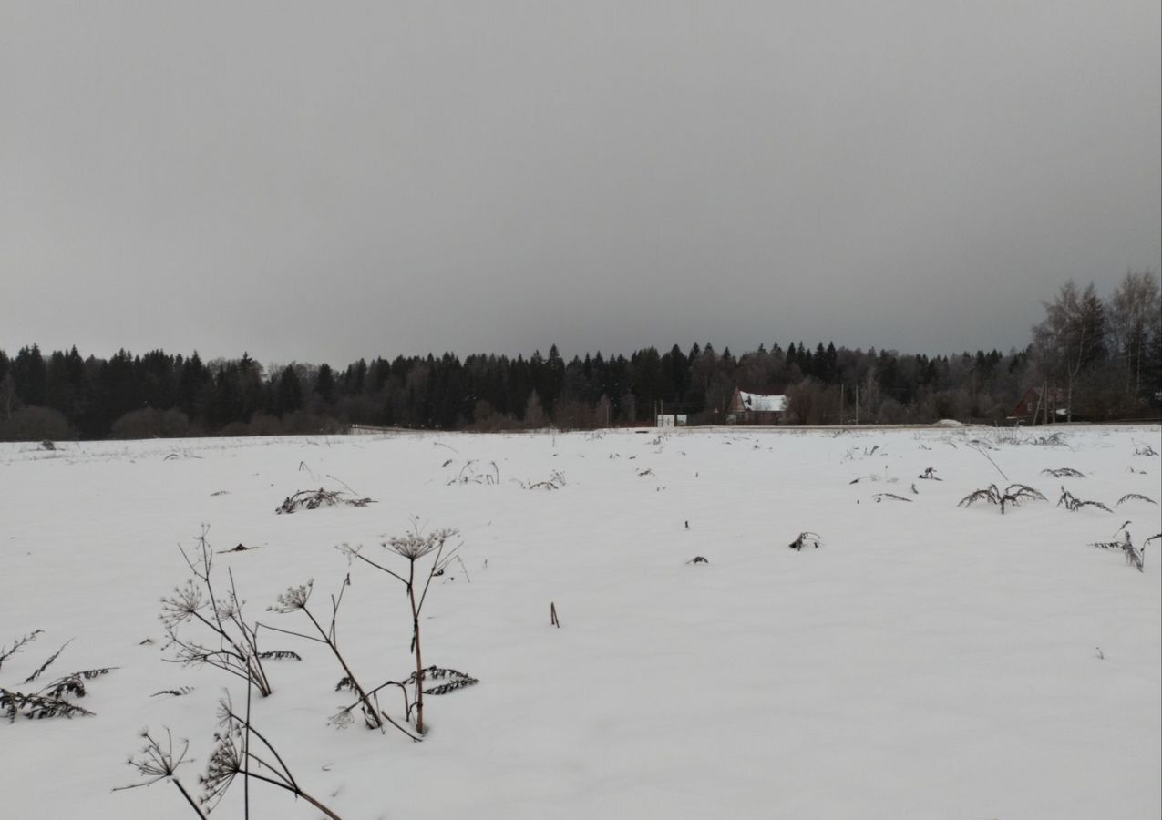 земля городской округ Рузский д Новорождествено 65 км, Новопетровское, Волоколамское шоссе фото 6