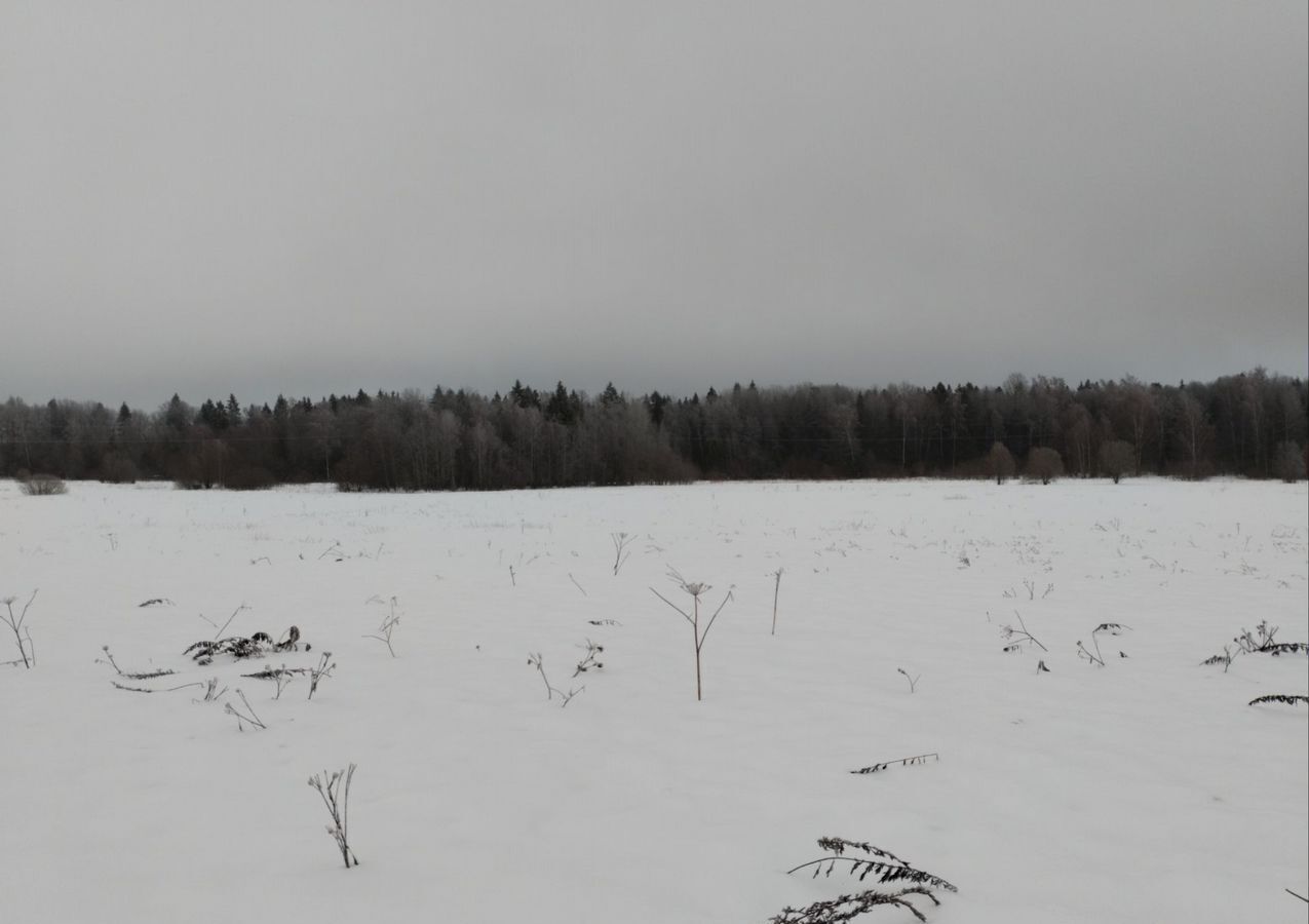 земля городской округ Рузский д Новорождествено 65 км, Новопетровское, Волоколамское шоссе фото 7