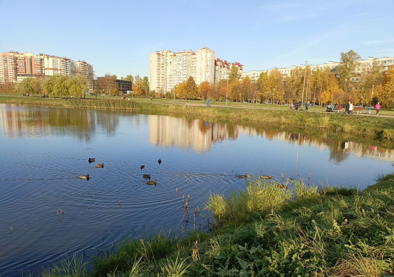 квартира г Санкт-Петербург р-н Красногвардейский пр-кт Пискарёвский 25к/2 округ Полюстрово фото 13