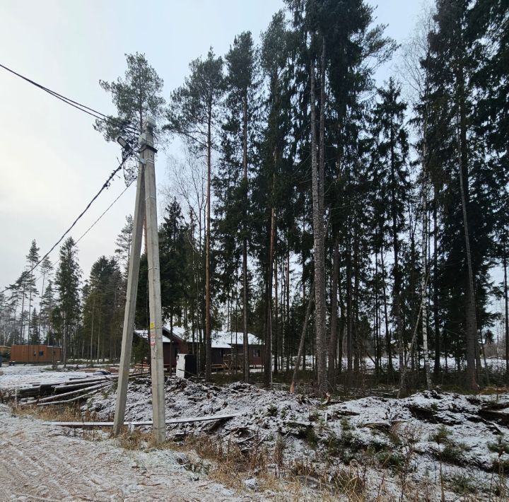 земля р-н Тихвинский снт Заречное Сертоловское городское поселение, ул. Омская, Всеволожский район фото 2