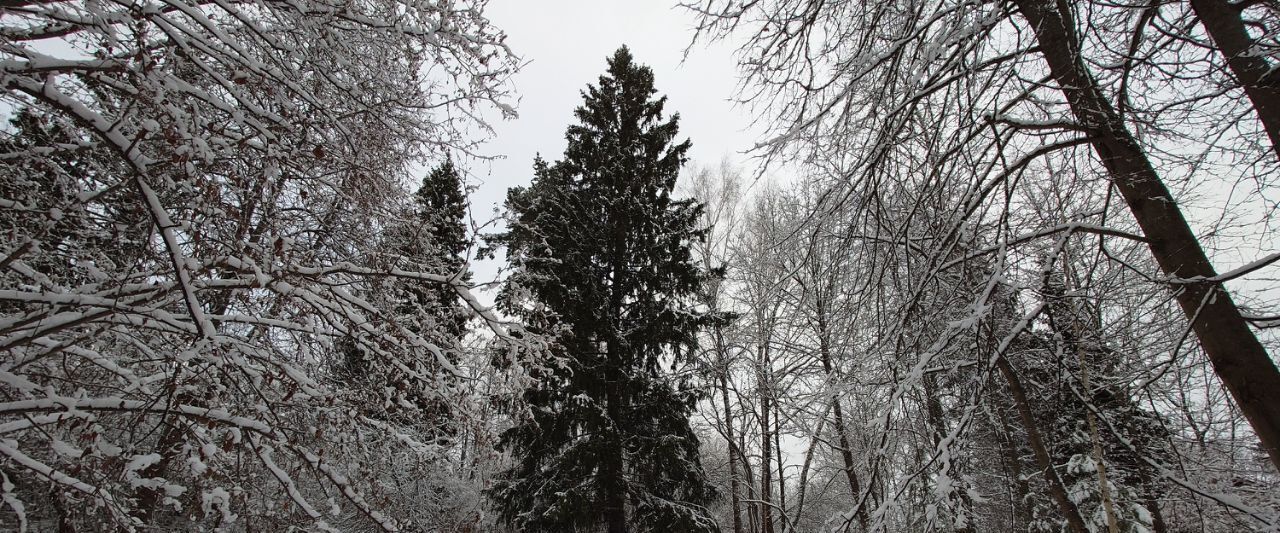 земля городской округ Одинцовский п Мозжинка 54Д фото 2