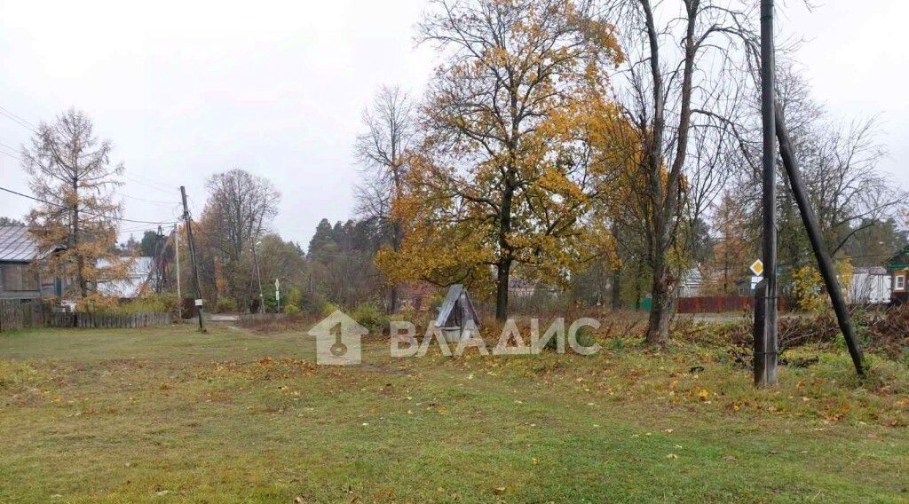 дом р-н Камешковский д Пенкино ул Центральная 44 фото 7