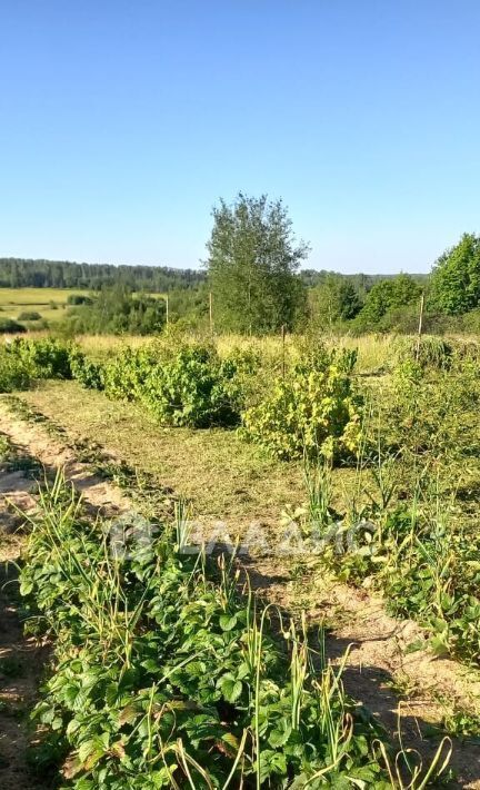 дом р-н Вязниковский д Пировы-Городищи ул Садовая 25 муниципальное образование, Вязники фото 22