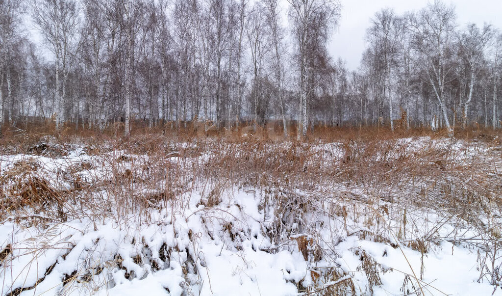 земля р-н Нижнетавдинский садовое товарищество Сотовик фото 6