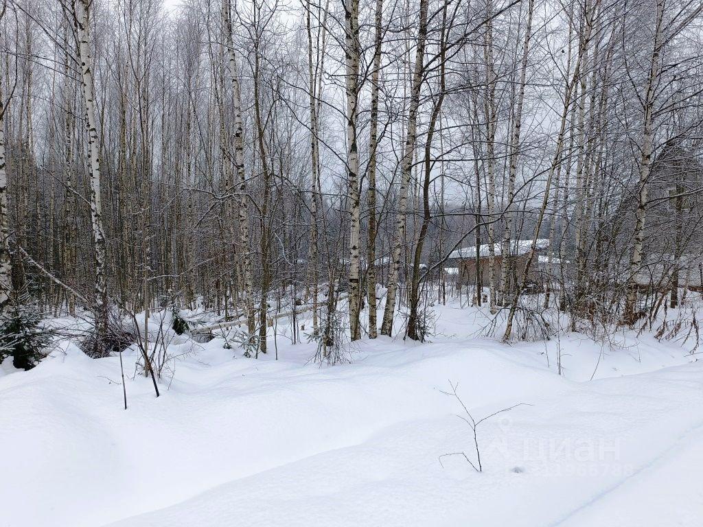 земля городской округ Солнечногорск д Шапкино снт Звездочка фото 1