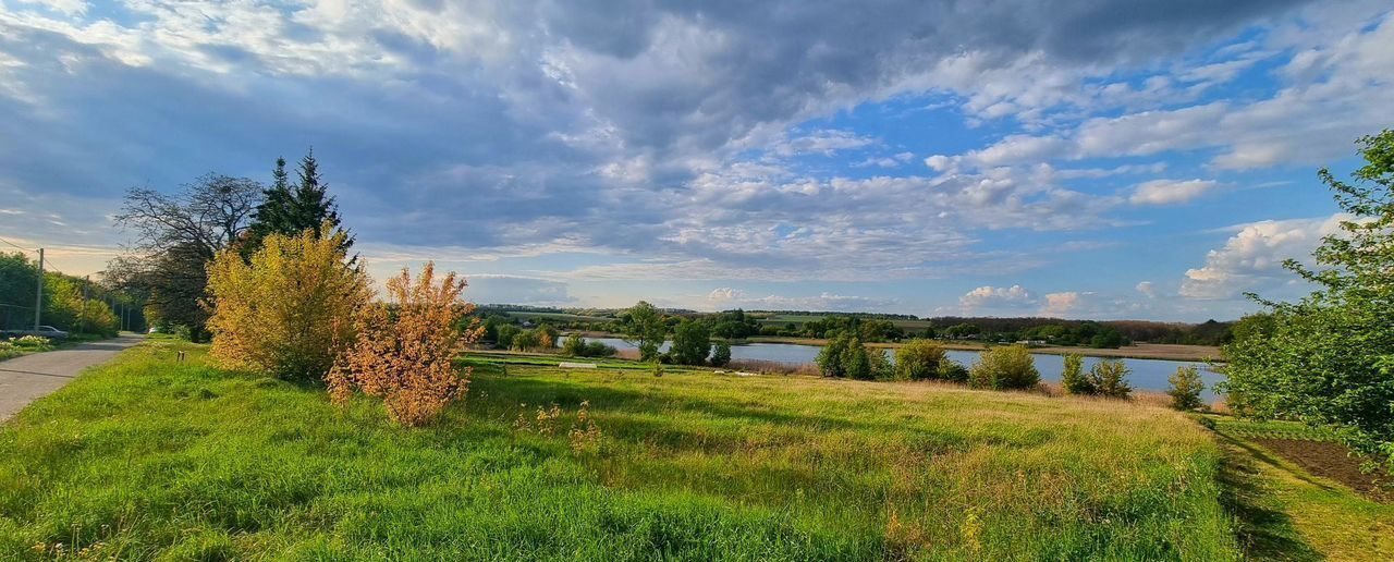 земля р-н Яковлевский с Калинино ул Зеленая Томаровка фото 7