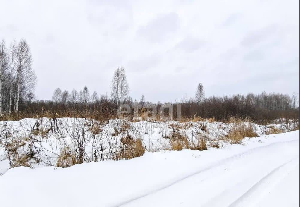 земля р-н Нижнетавдинский д Штакульская Тюмень фото 3