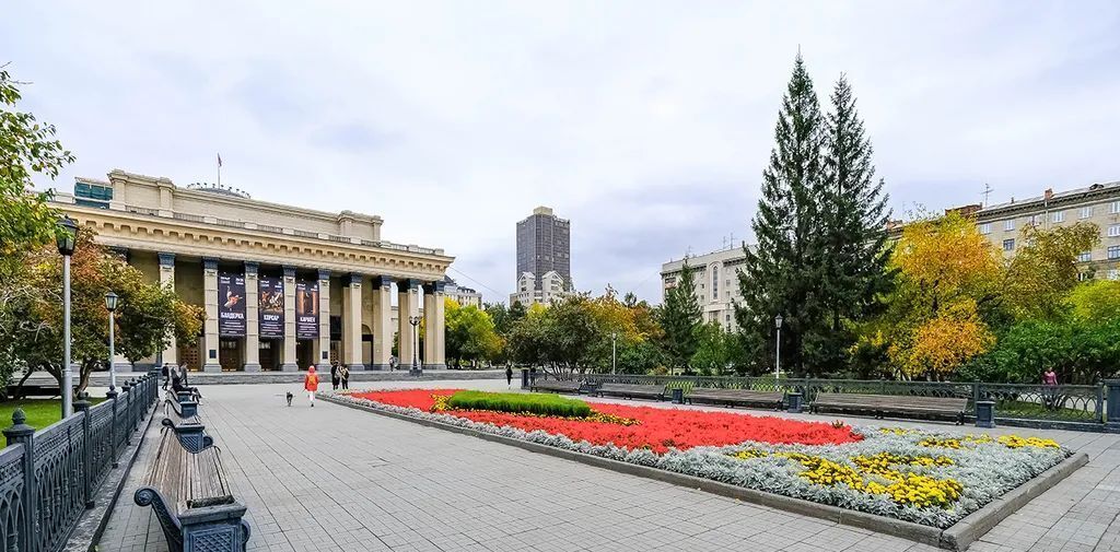 квартира г Новосибирск метро Площадь Гарина-Михайловского ул Челюскинцев 14 фото 25