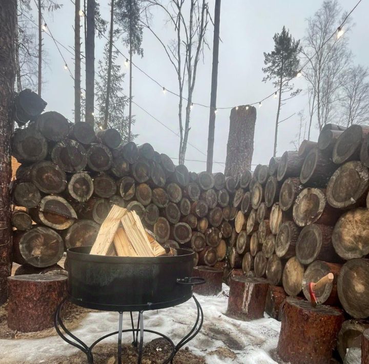 дом р-н Всеволожский Токсовское городское поселение, Экофорест кп, 216 фото 33