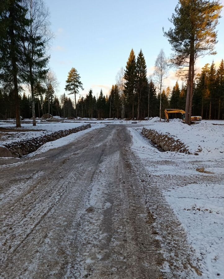 земля р-н Приозерский п Саперное Трасса Сортавала, 77 км, Ромашкинское сельское поселение, садовое некоммерческое товарищество Ромашкинские усадьбы, ул. Александра Блока фото 19