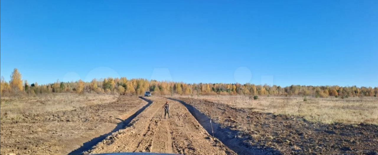 земля р-н Кировский д Сологубовка ул Полевая Мгинское городское поселение фото 4