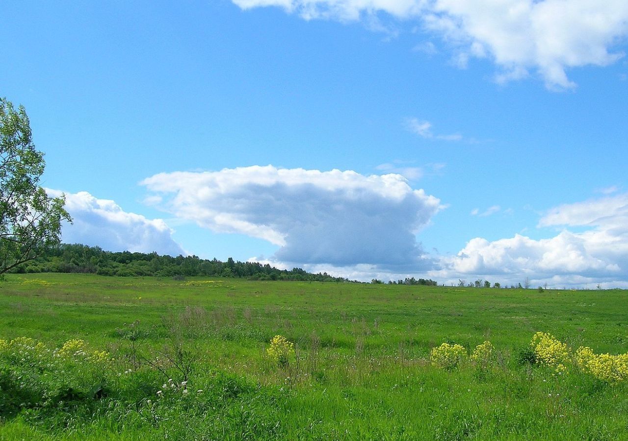 земля городской округ Кашира д Тарасково 9812 км, Ступино, Каширское шоссе фото 3