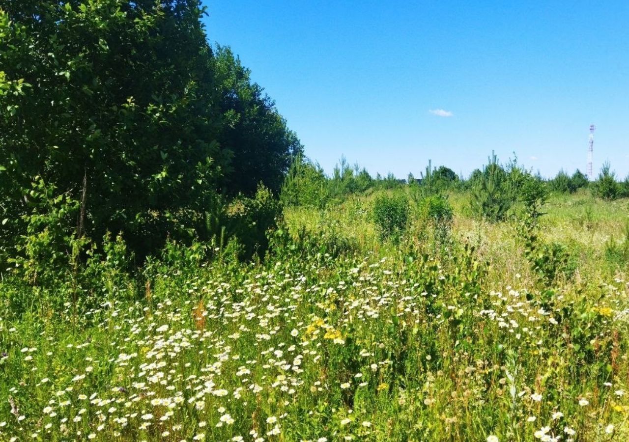 земля городской округ Кашира д Тарасково 9812 км, Ступино, Каширское шоссе фото 5