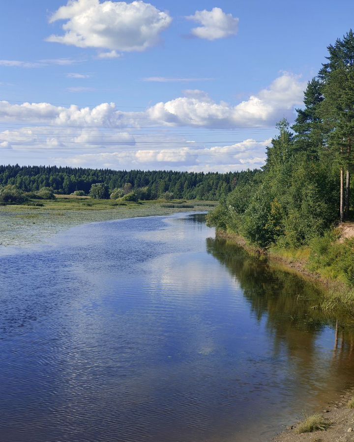 дом р-н Приморский снт Судоремонтник 415, Уемский фото 23