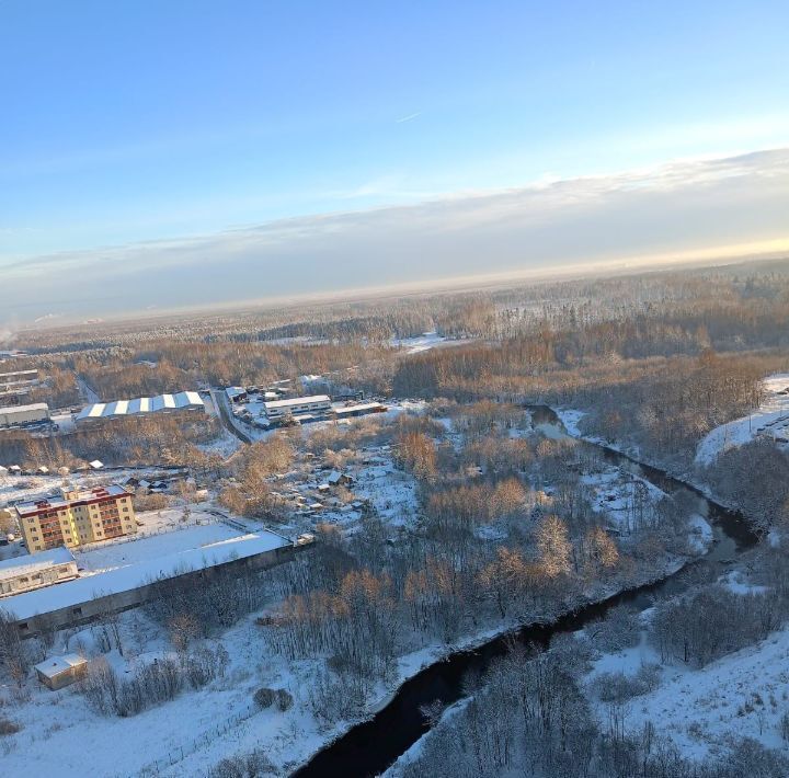 квартира г Санкт-Петербург метро Гражданский Проспект ал Евгения Шварца 11 ЖК «Новая Охта» округ Полюстрово фото 29