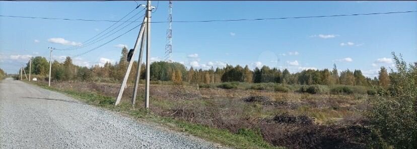 земля р-н Ярковский с Ярково Ярковское сельское поселение фото 8