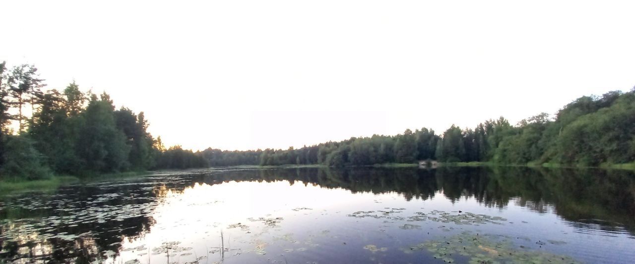 земля р-н Всеволожский Токсовское городское поселение, Токсово городской поселок, Девяткино, ул. Возрождения, 26 фото 22