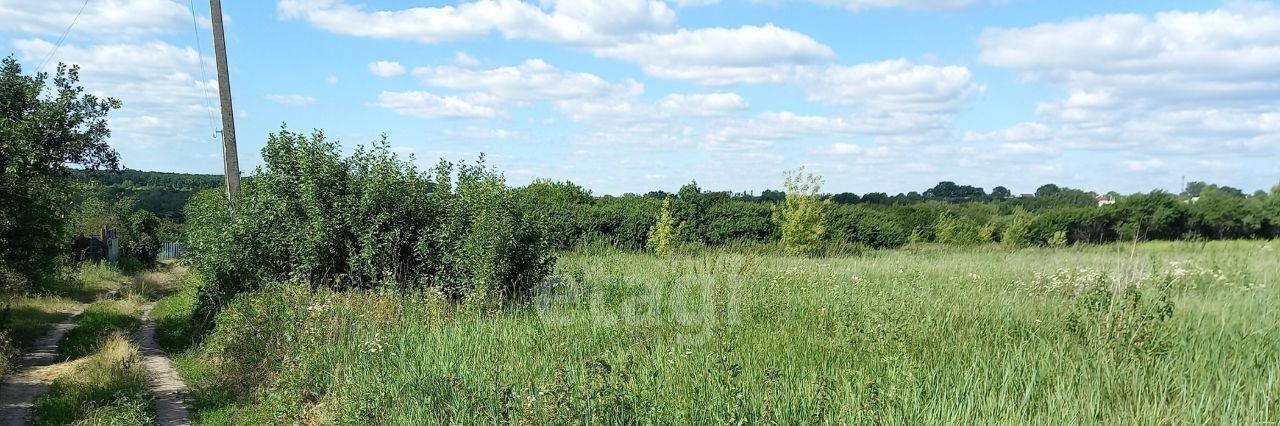 земля р-н Корочанский с Дальняя Игуменка ул Кураковка Мелиховское с/пос фото 4