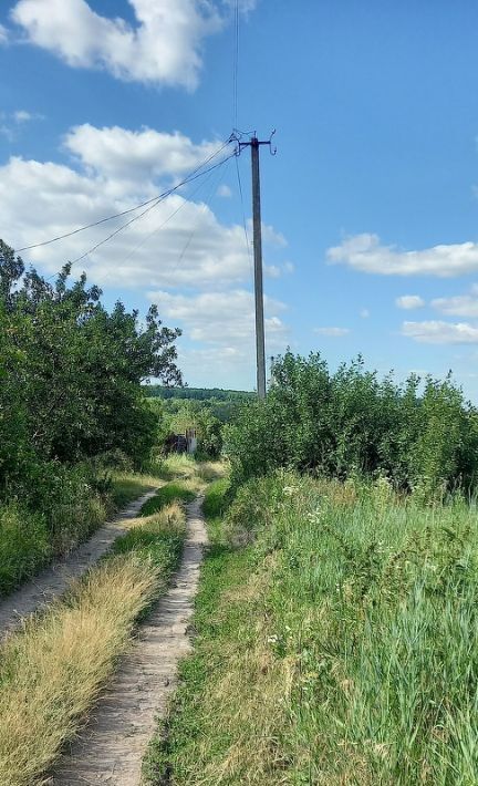 земля р-н Корочанский с Дальняя Игуменка ул Кураковка Мелиховское с/пос фото 6