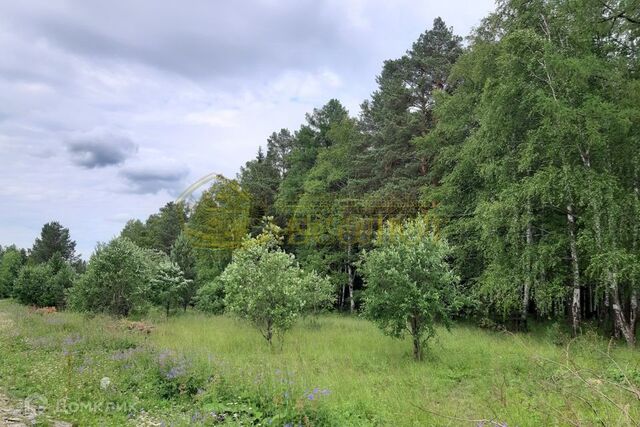 городской округ Ревда, посёлок Ледянка фото