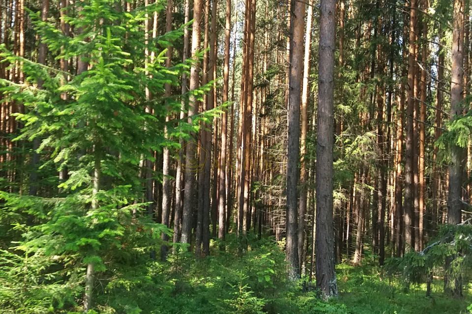 земля городской округ Ревда, посёлок Ледянка фото 2