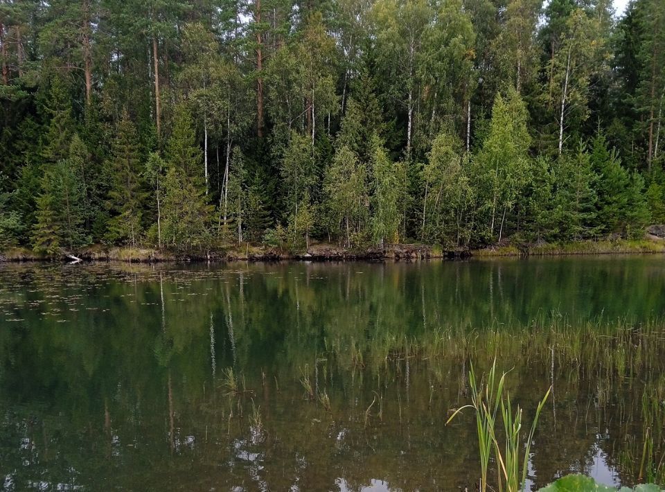 дом р-н Выборгский Полянское с/пос, Домостроитель СНТ, ул. Ромашковая, 33 фото 21