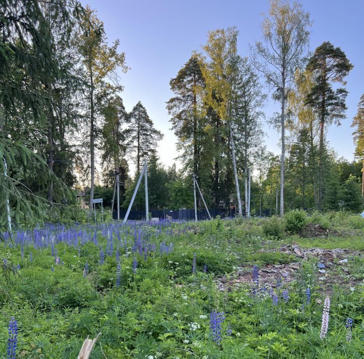 земля р-н Гатчинский Сиверский городской поселок, ул. Майора Нестерова фото 4