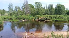 дом р-н Лужский д Долговка ул Заречная Толмачевское городское поселение фото 18