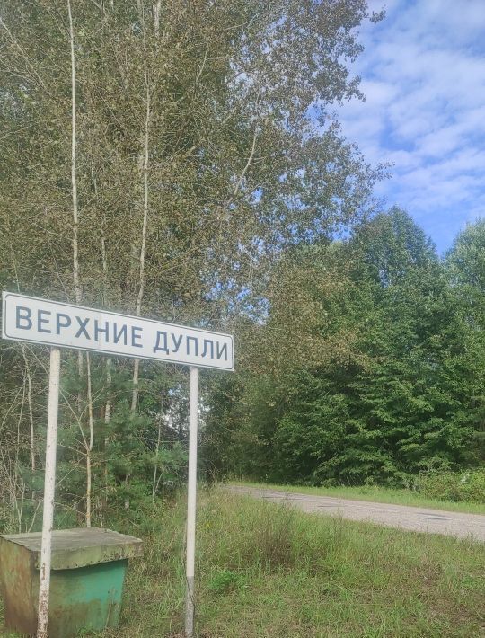 дом р-н Опочецкий д Верхние Дупли фото 17