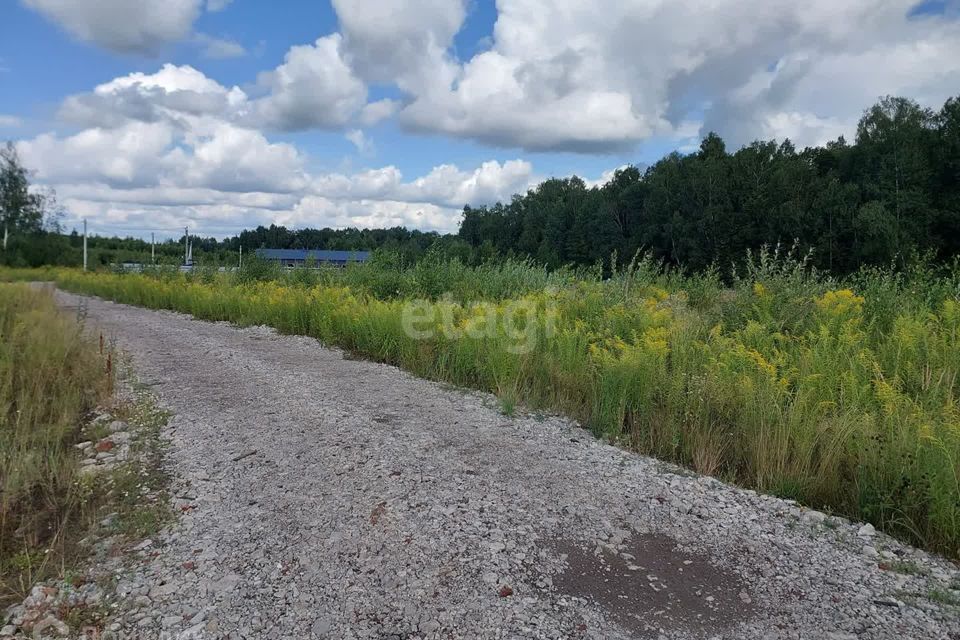 земля Тула городской округ, Струково фото 8