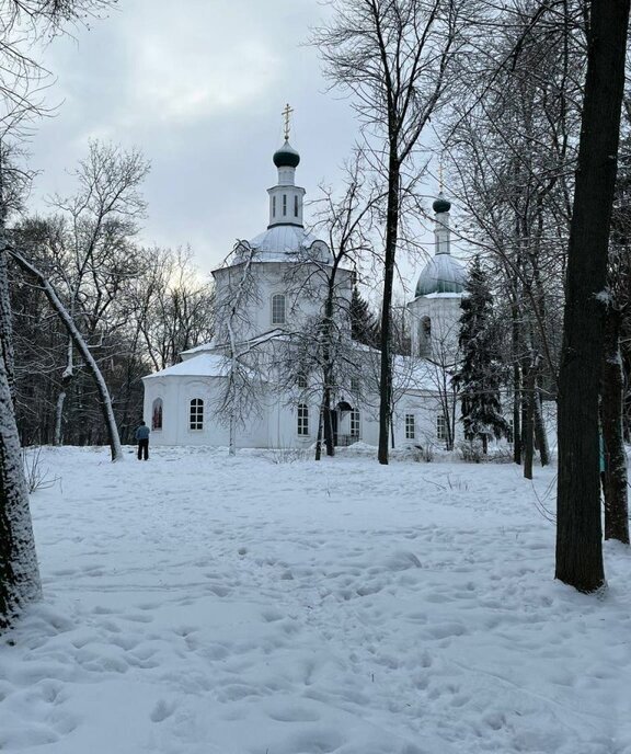 квартира г Нижний Новгород р-н Нижегородский Горьковская ул Володарского 4 фото 10