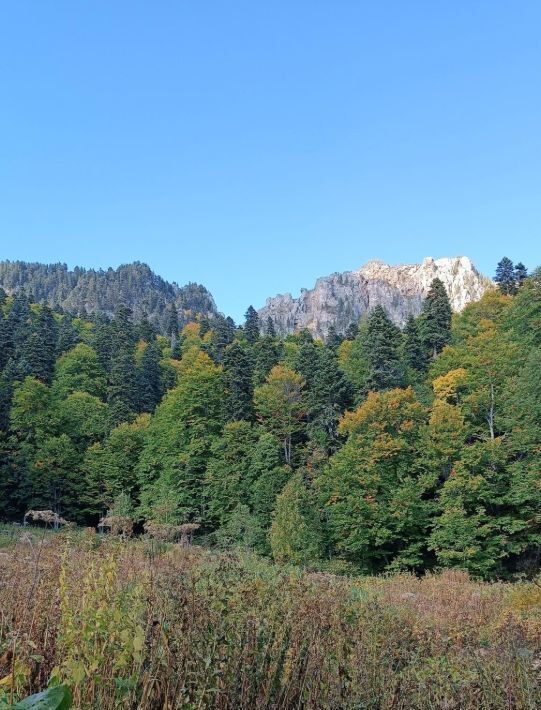 дом р-н Майкопский п Каменномостский ул Дальняя 20 фото 2