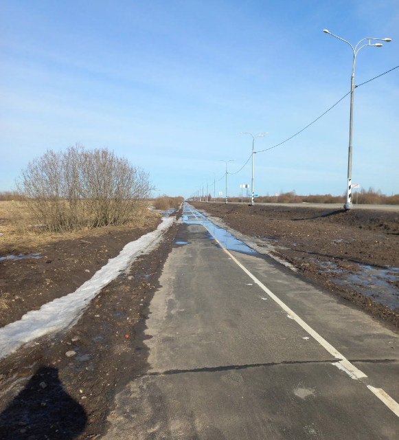 земля р-н Новгородский д. Борки фото 1