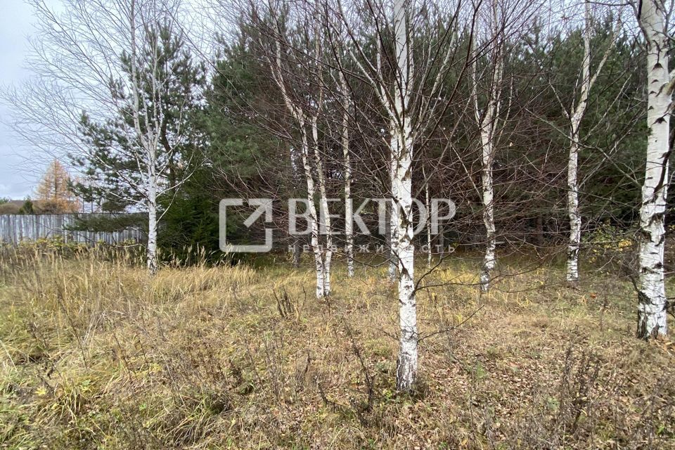 земля р-н Некрасовский с. Малые Соли фото 3