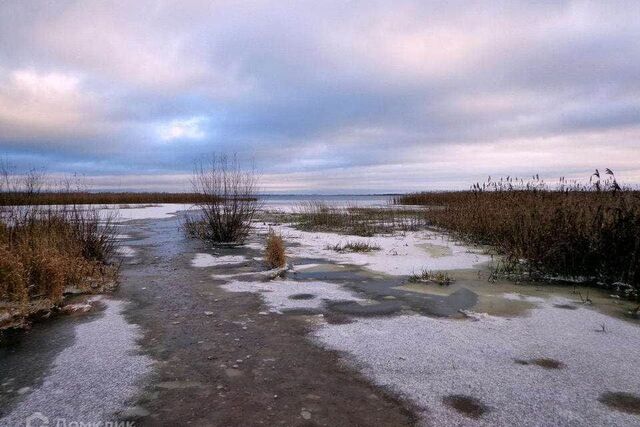 земля д. Кривск фото