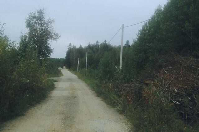 Березовский городской округ, СНТ 127 Дачник фото