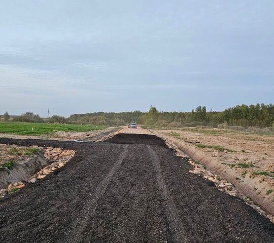 Сперанская Мыза фото