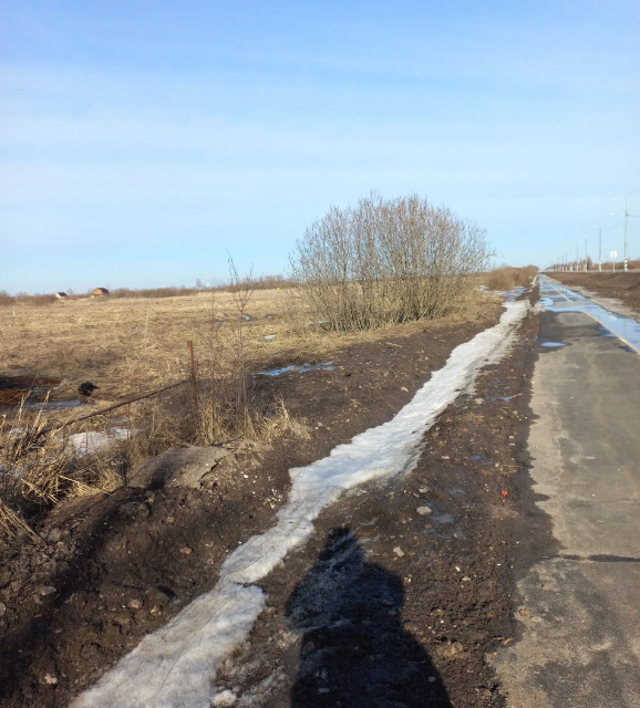 земля р-н Новгородский д. Борки фото 2