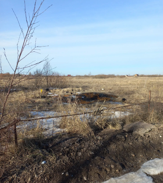 земля р-н Новгородский д. Борки фото 3