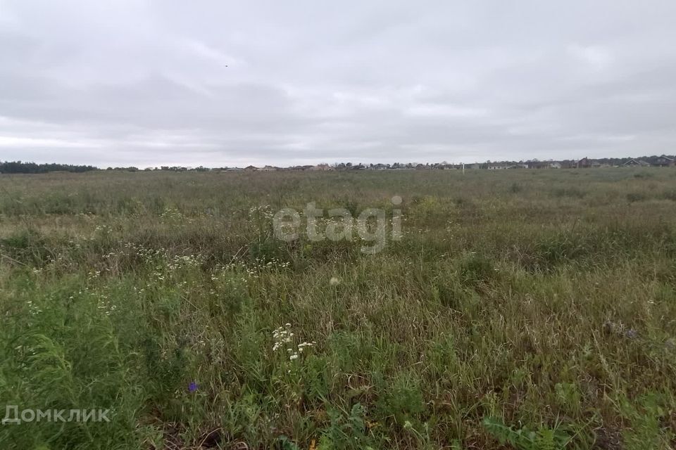 земля р-н Белгородский с Севрюково ул Щегловка-Заречная 27а фото 1